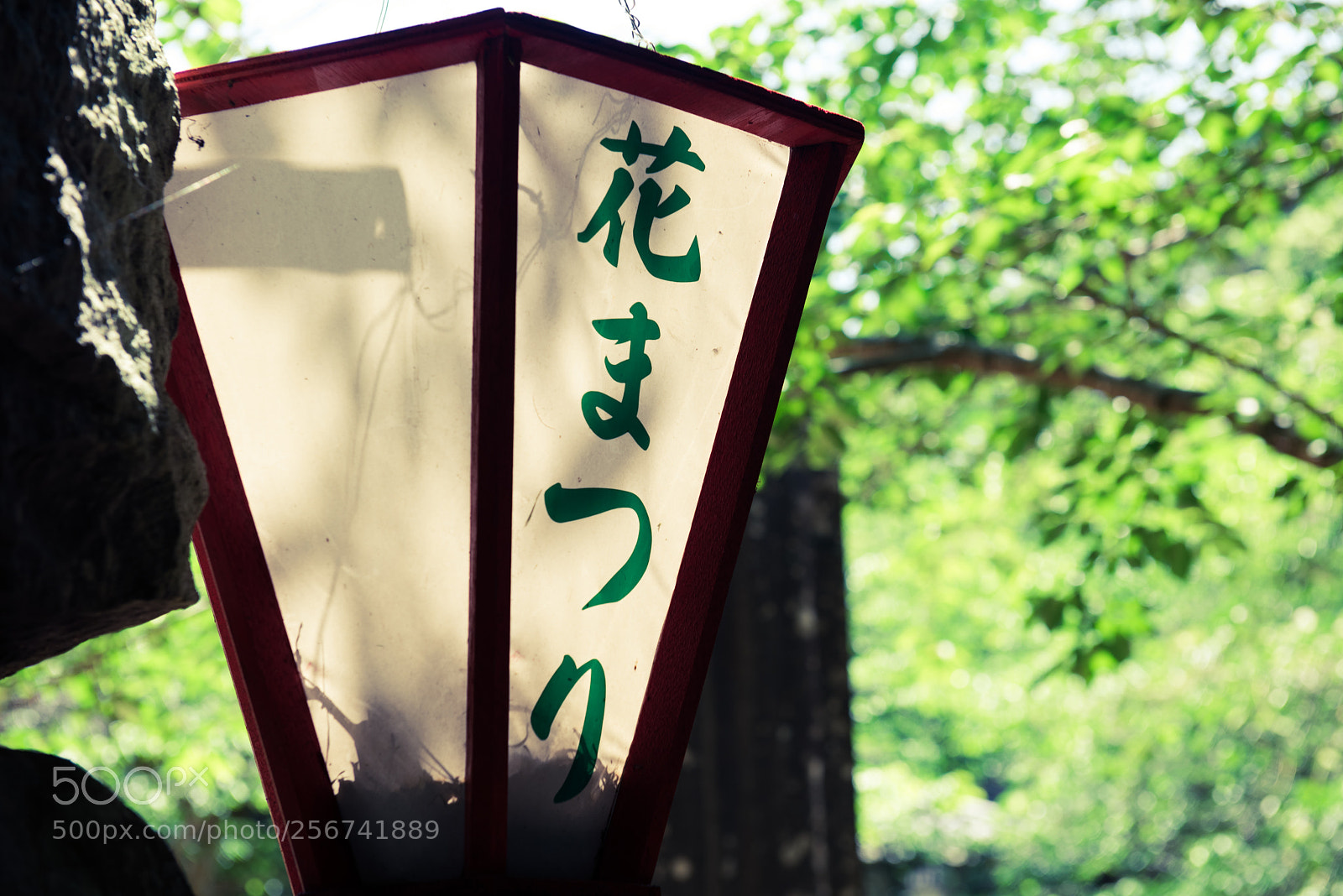 Nikon D810 sample photo. 静岡　花まつり photography