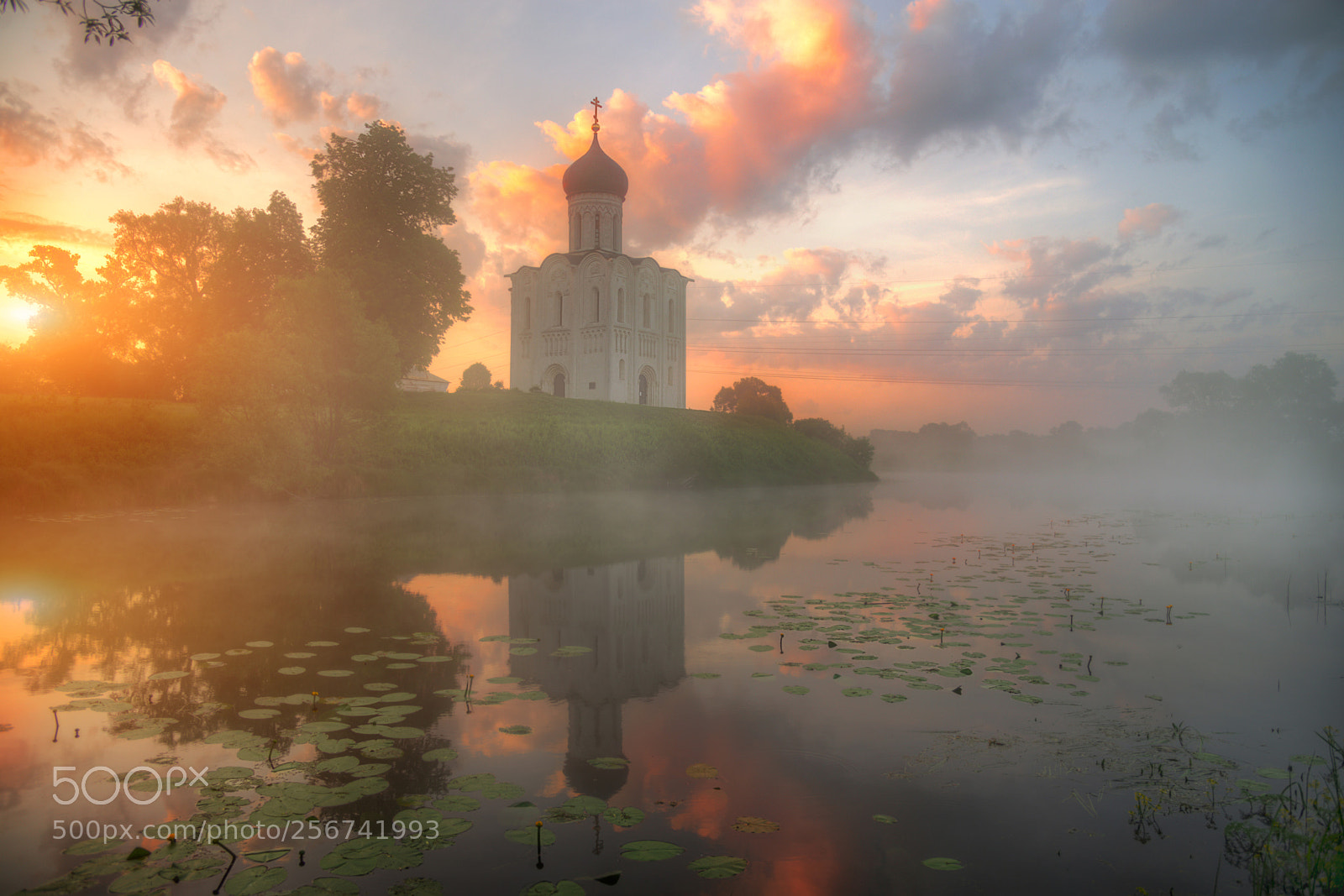 Nikon D610 sample photo. храм Покрова на Нерли... photography