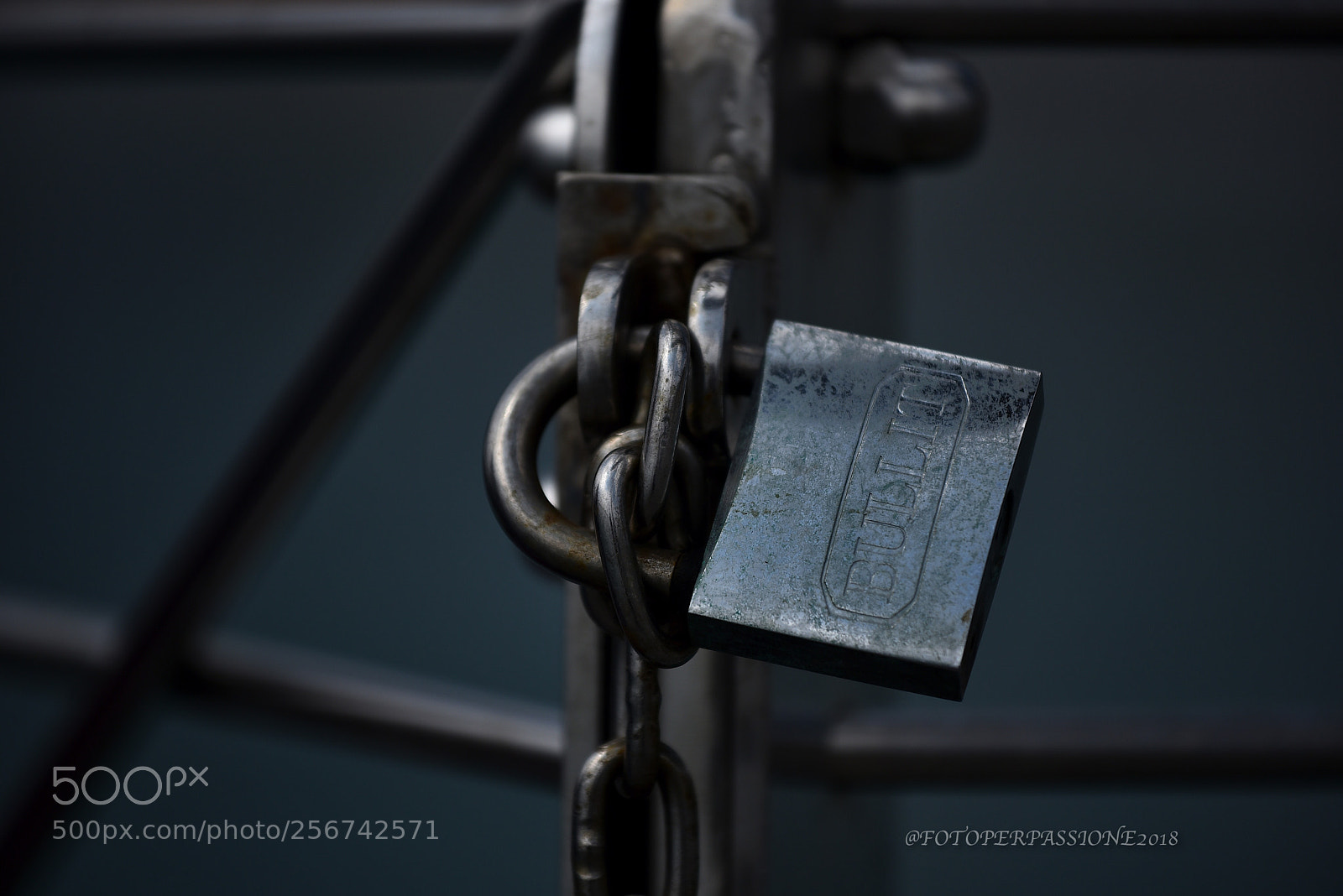 Nikon D750 sample photo. Ci sono quelli che photography