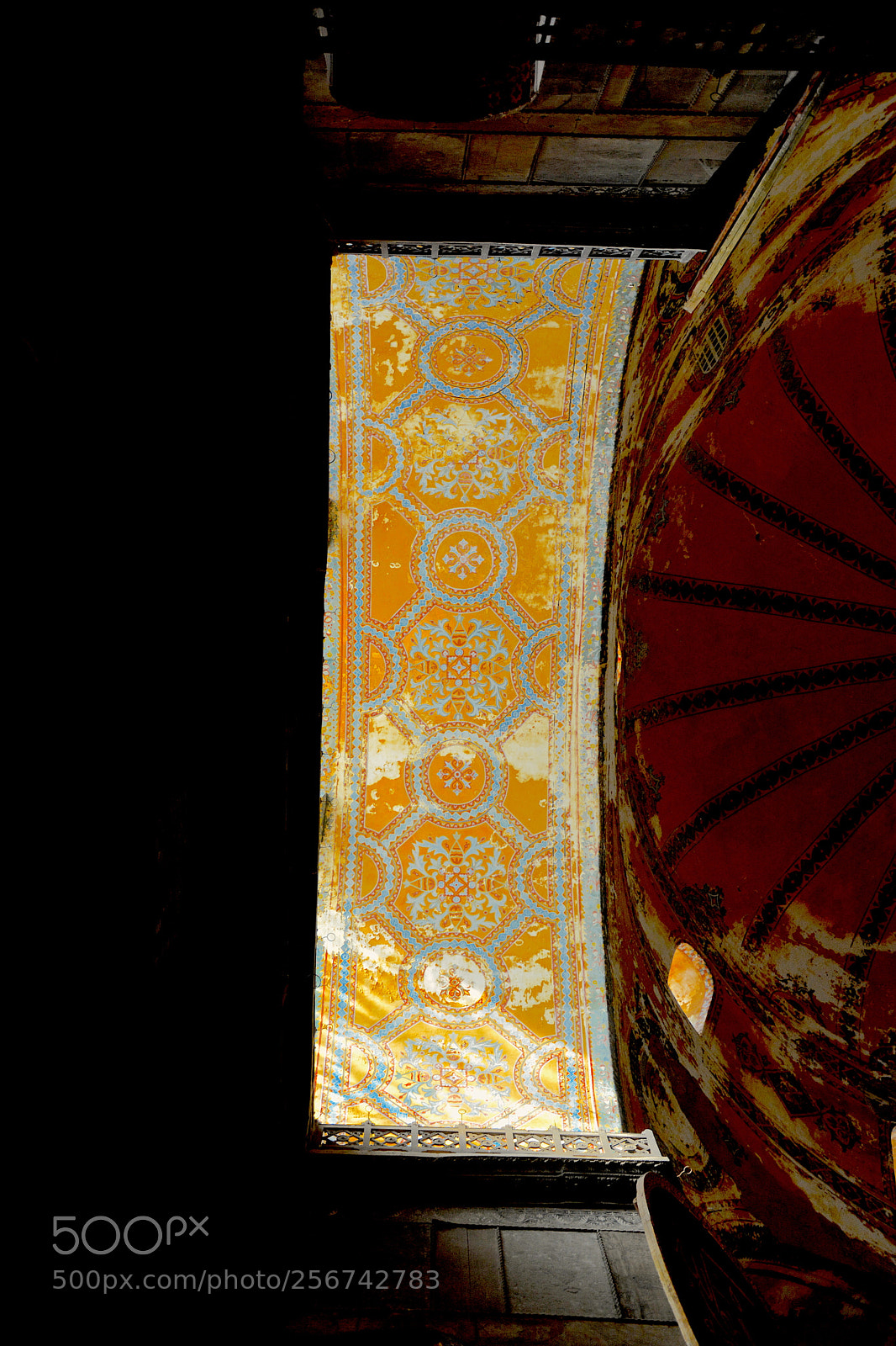 Nikon D7100 sample photo. Dsc photography