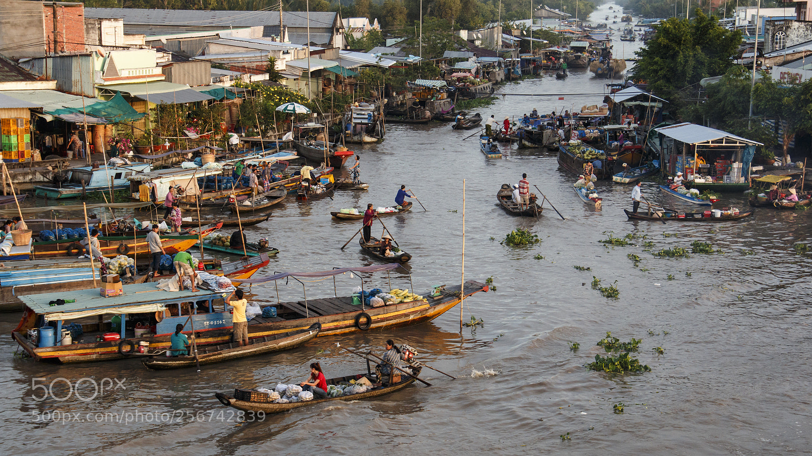 Canon EOS 70D sample photo. Floating market in vietnam photography