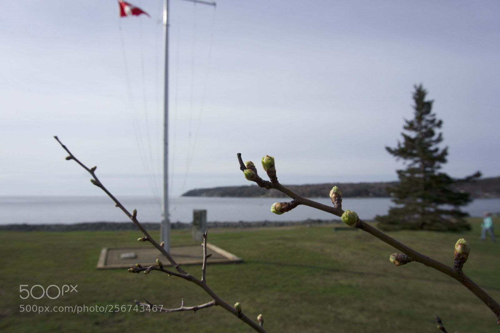 Sony a6000 sample photo. Spring in canada photography