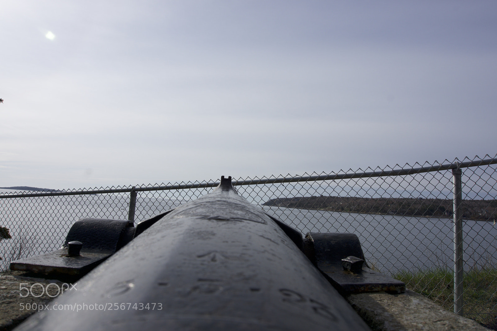 Sony a6000 sample photo. Small cannons photography