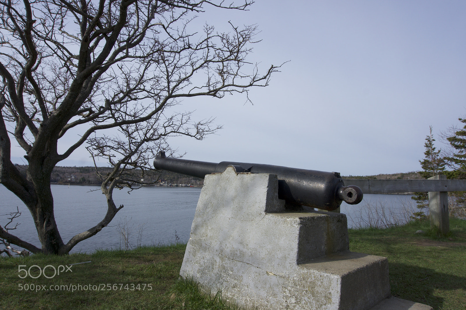 Sony a6000 sample photo. Small cannons photography