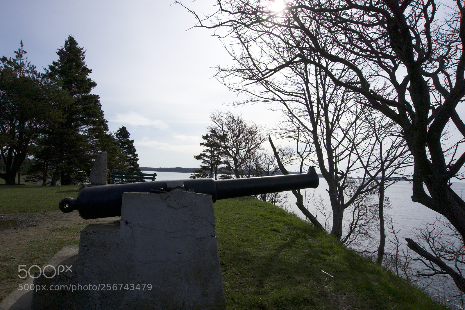 Sony a6000 sample photo. Small cannons photography