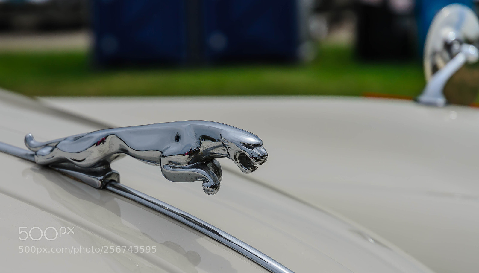 Nikon D7000 sample photo. When hood ornaments were photography