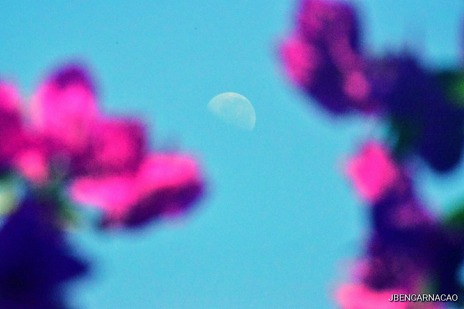 Nikon D5600 sample photo. Day with moon photography