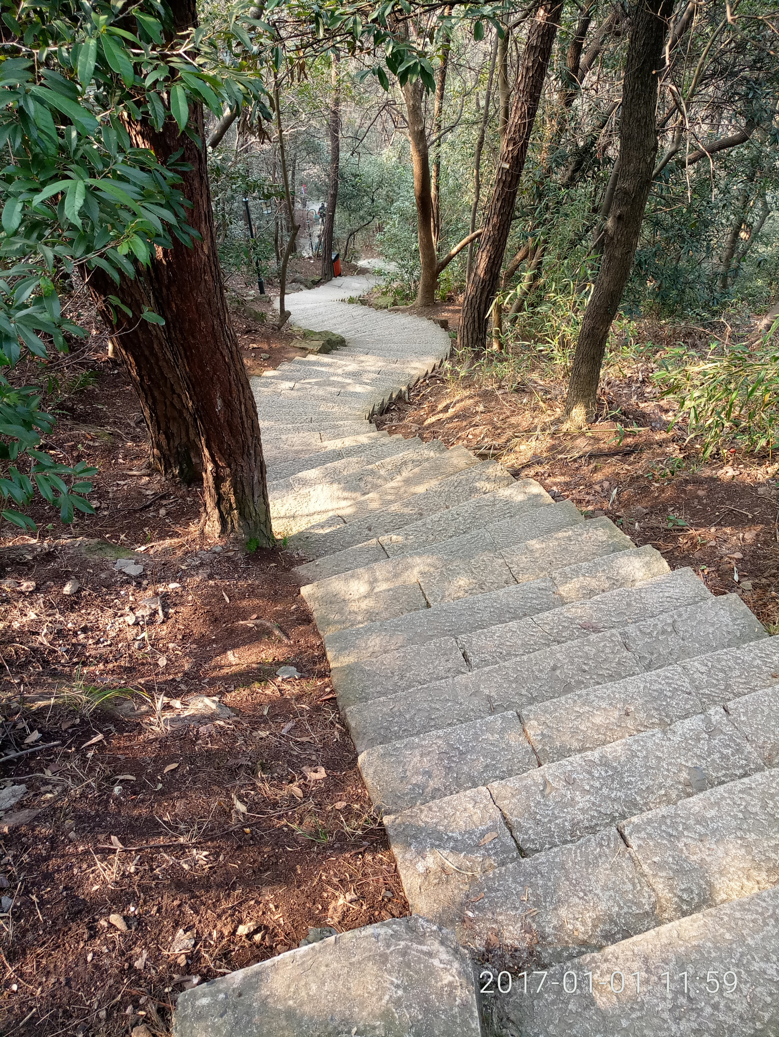 Meizu MX6 sample photo