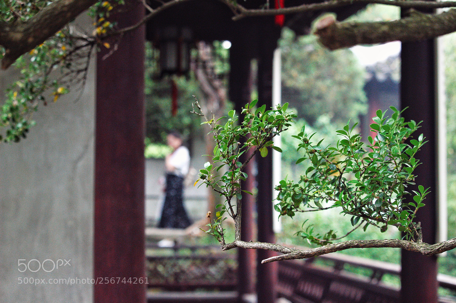 Canon EOS 100D (EOS Rebel SL1 / EOS Kiss X7) sample photo. 藕园1 photography