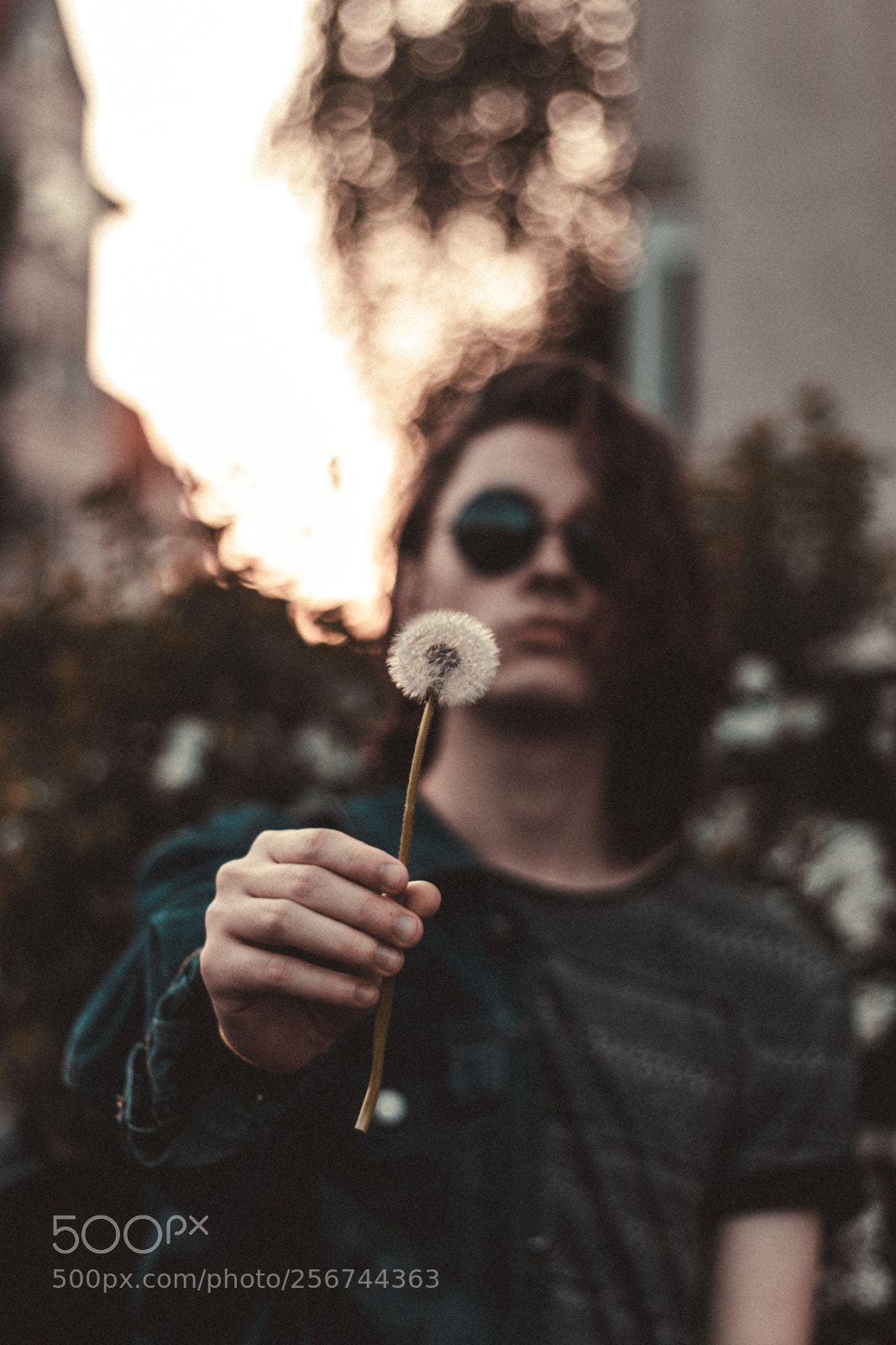 Canon EOS 77D (EOS 9000D / EOS 770D) sample photo. Dandelion photography