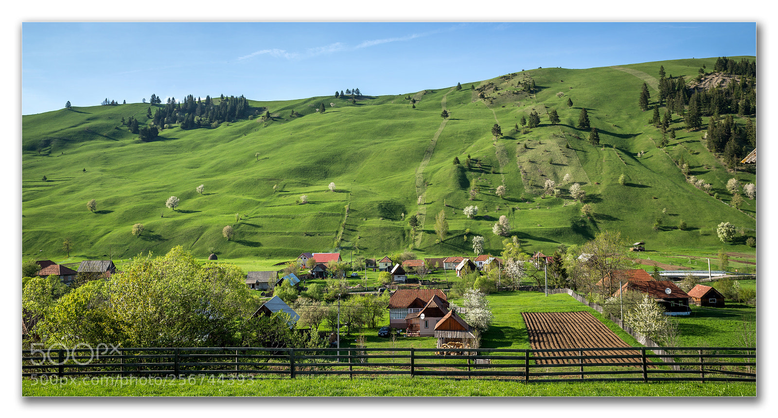Nikon D610 sample photo. Country side photography