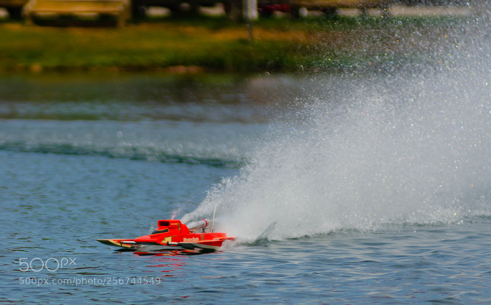 Nikon D7000 sample photo. Zipping over the water photography