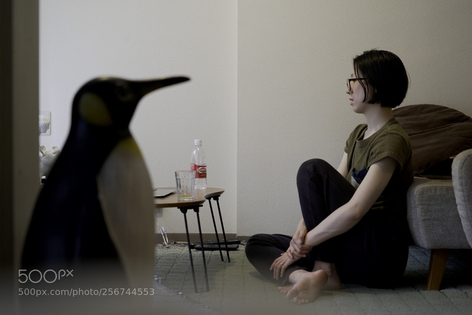 Sony a7 III sample photo. Penguin  photography