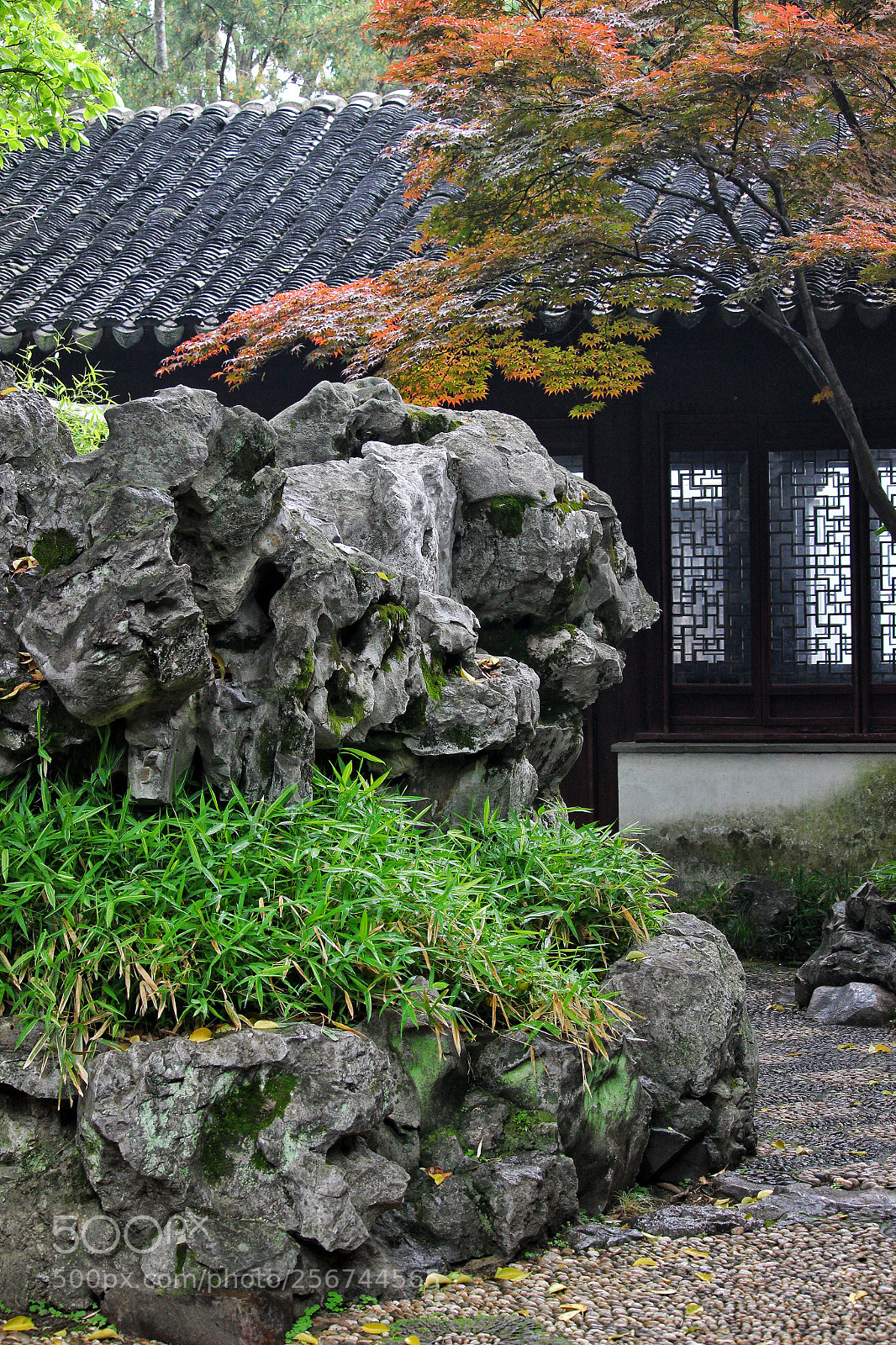 Canon EOS 100D (EOS Rebel SL1 / EOS Kiss X7) sample photo. 藕园3 photography