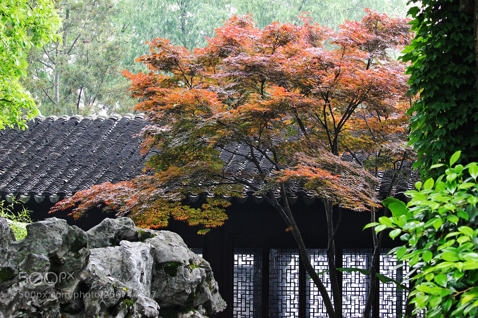 Canon EOS 100D (EOS Rebel SL1 / EOS Kiss X7) sample photo. 藕园4 photography
