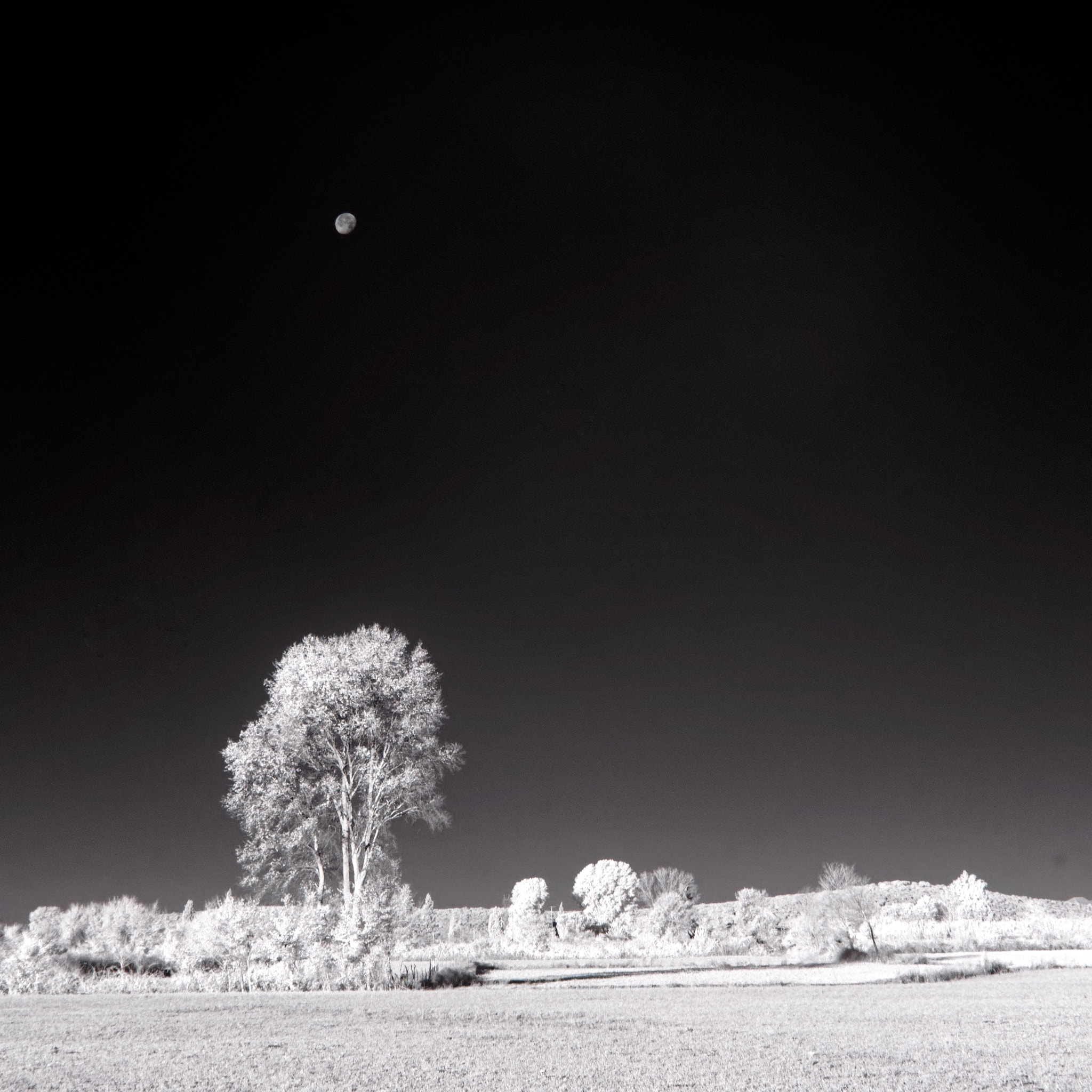 Sony Alpha NEX-5 sample photo. Infrared landscape with moon photography