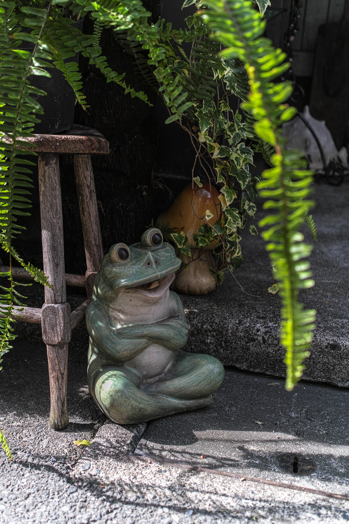 Sigma DP2 Merrill sample photo. Flog photography