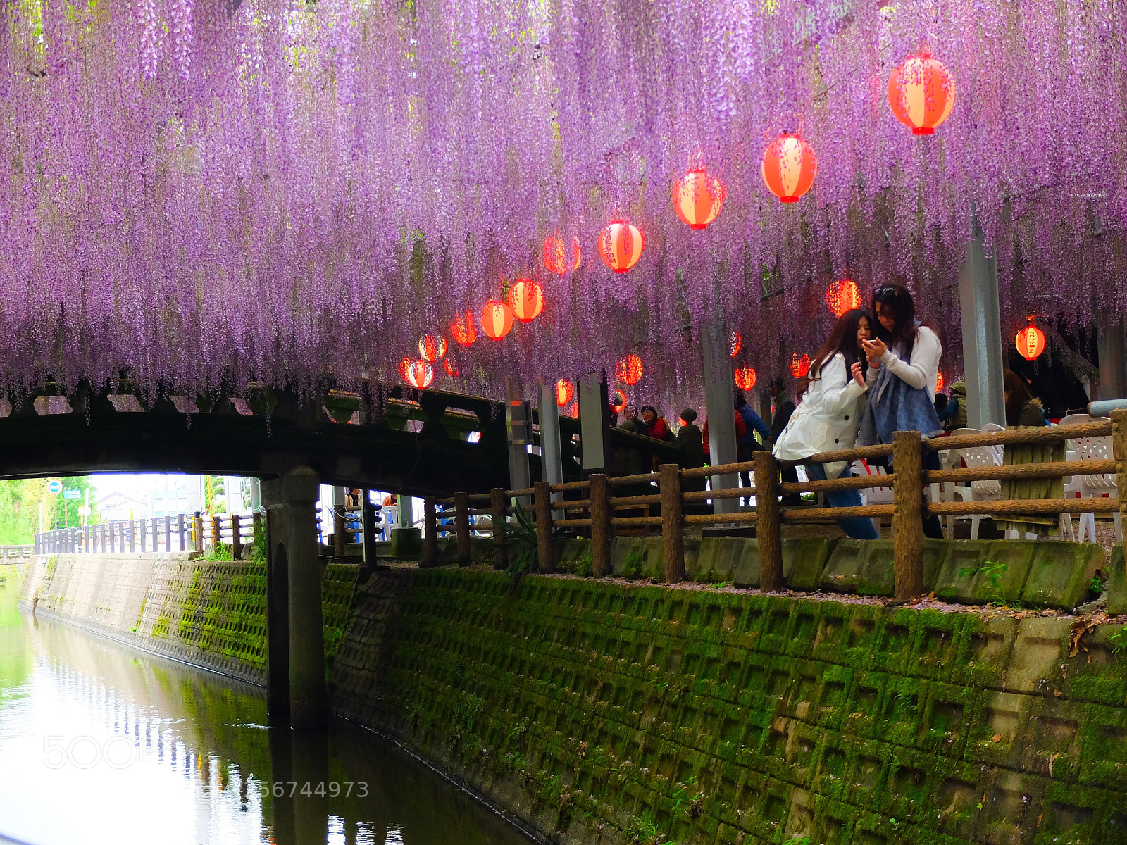 Fujifilm X30 sample photo. Wisteria flowers photography