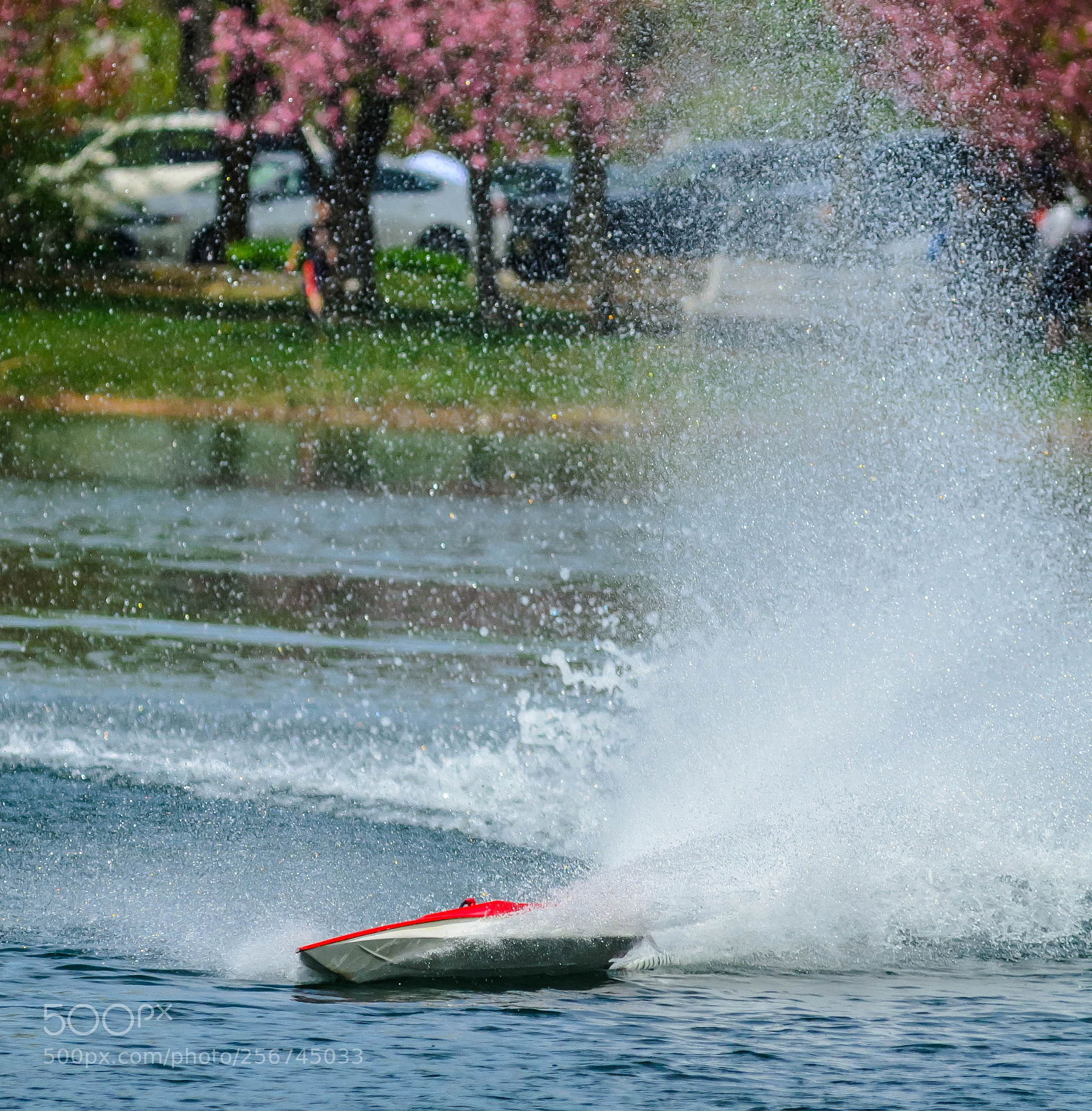 Nikon D7000 sample photo. Tight turn photography