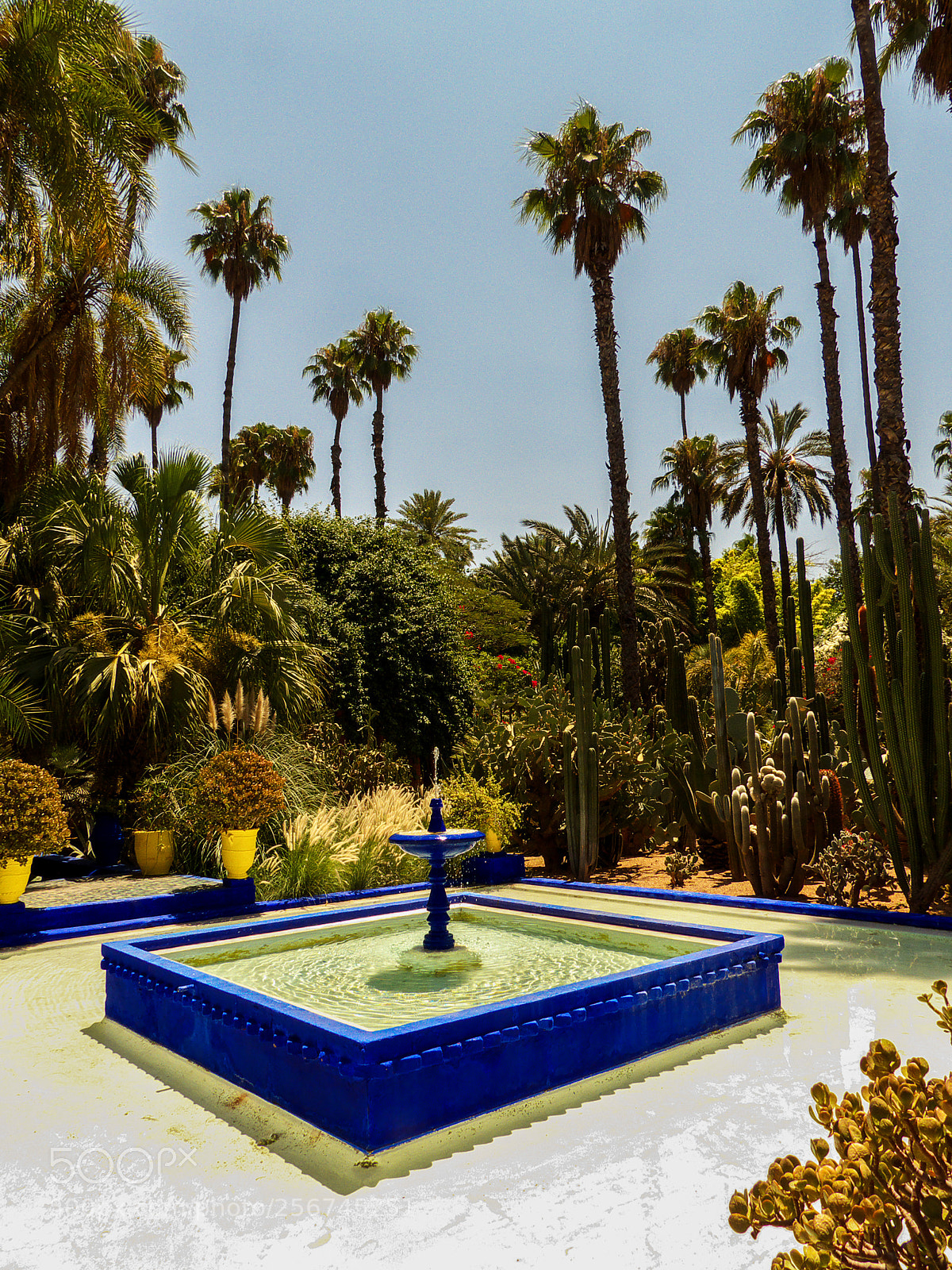 Panasonic Lumix DMC-FZ200 sample photo. Jardin majorelle - marrakesh photography