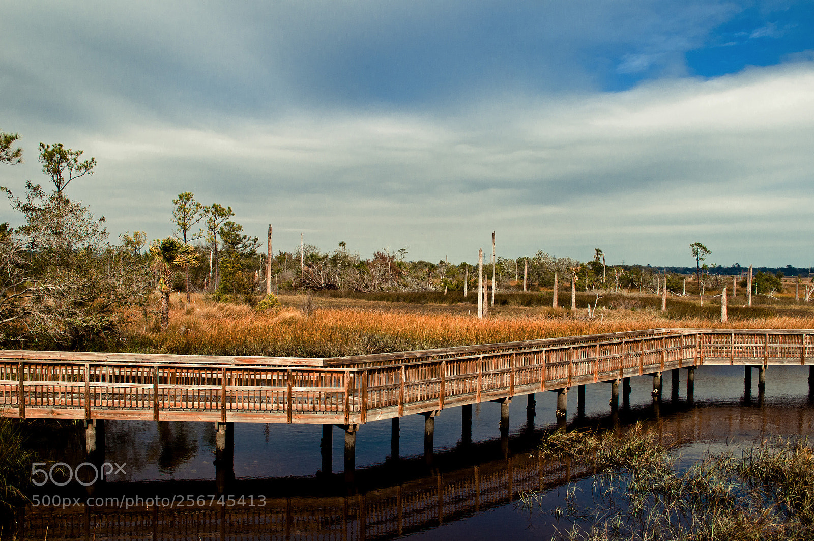 Nikon D300 sample photo. Castaway cov photography