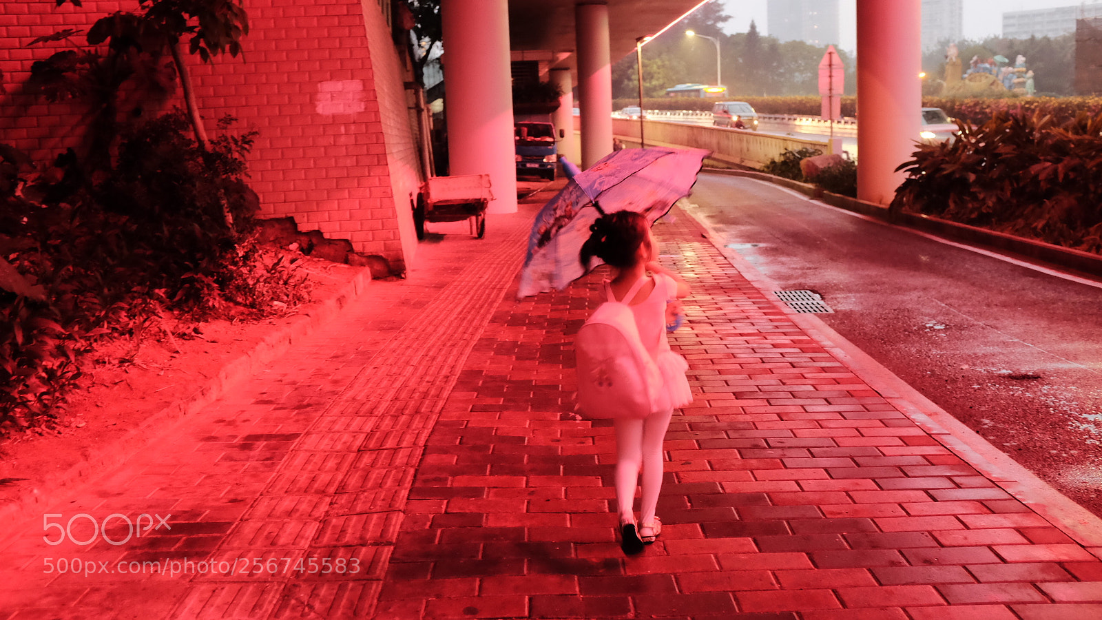 Fujifilm X100T sample photo. Untitled photography
