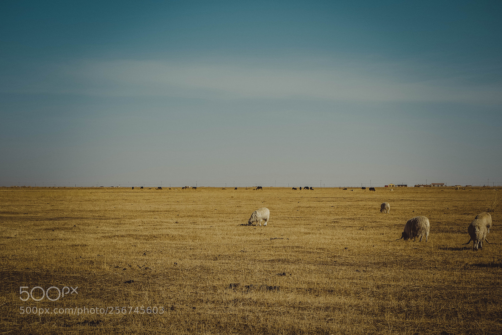 Pentax K-70 sample photo. Untitled photography