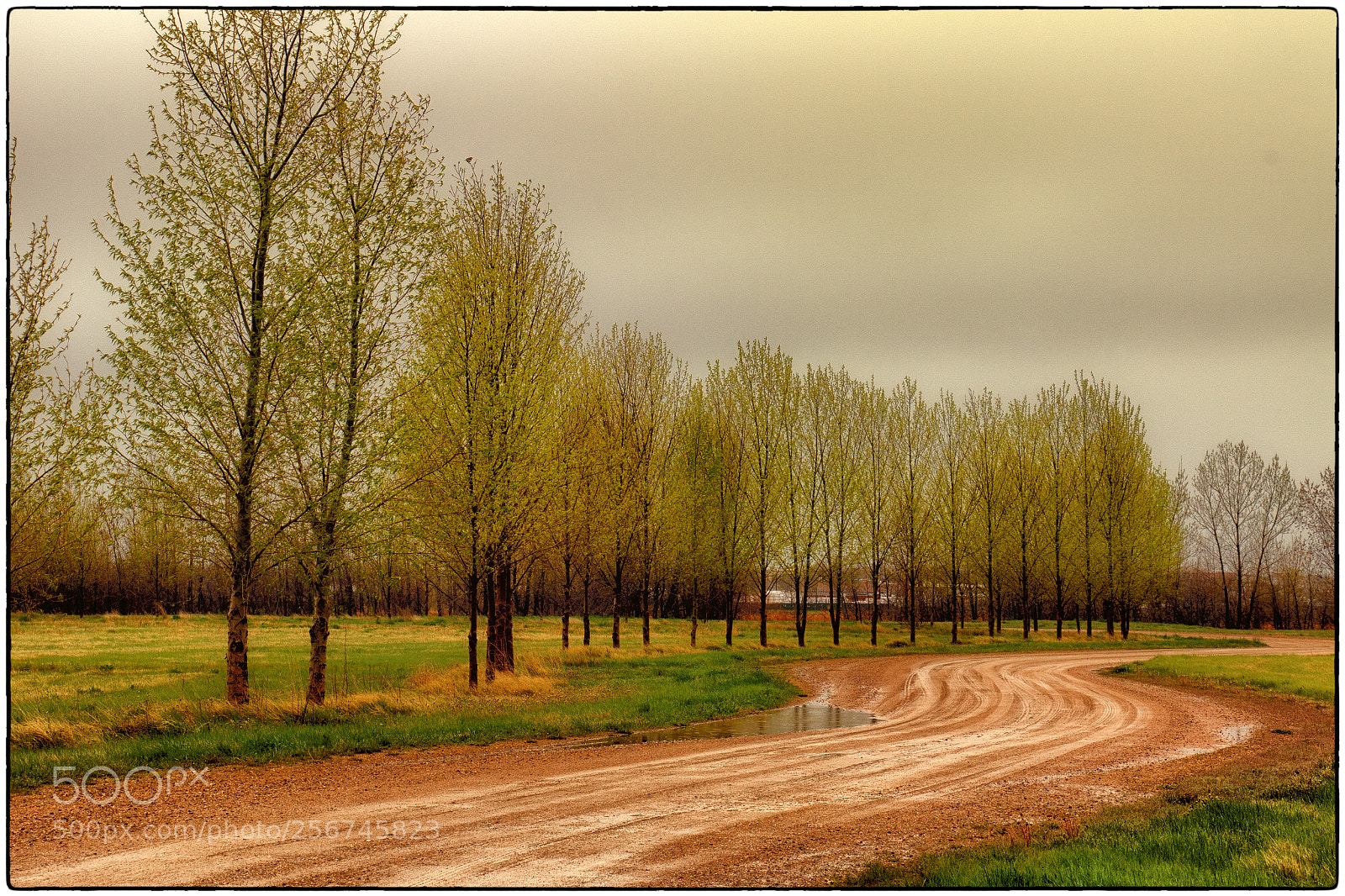 Canon EOS 7D Mark II sample photo. Country roads xv photography