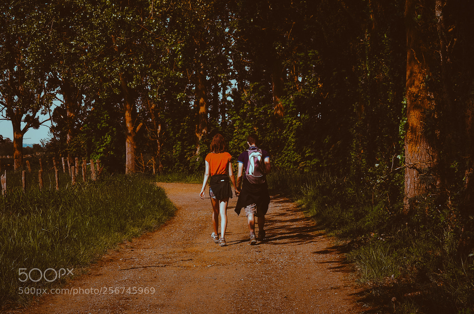 Nikon D3400 sample photo. Young lovers photography
