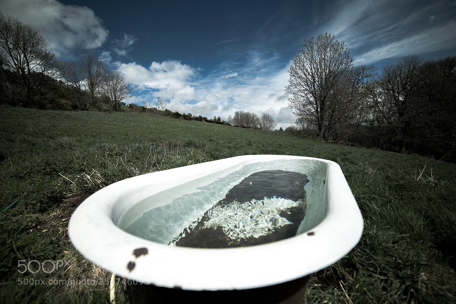 Nikon D750 sample photo. Nature hates normality photography