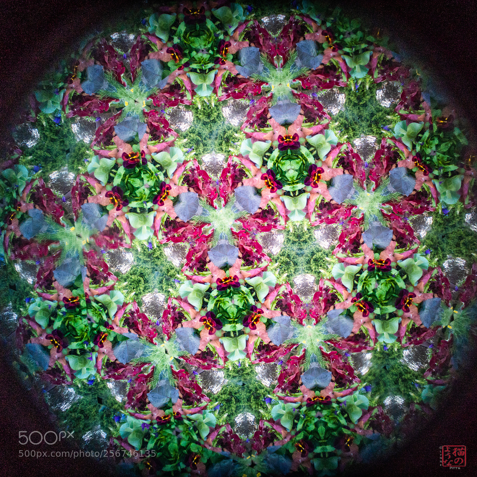 Sony a7 III sample photo. Plant kaleidoscope photography