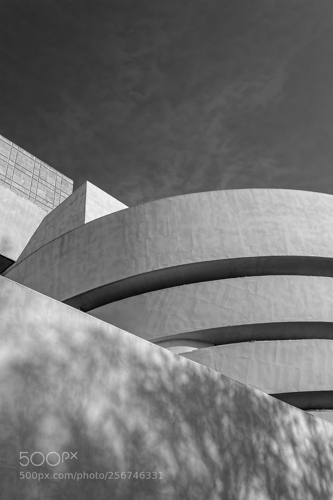 Canon EOS 5D Mark II sample photo. Guggenheim museum nyc photography