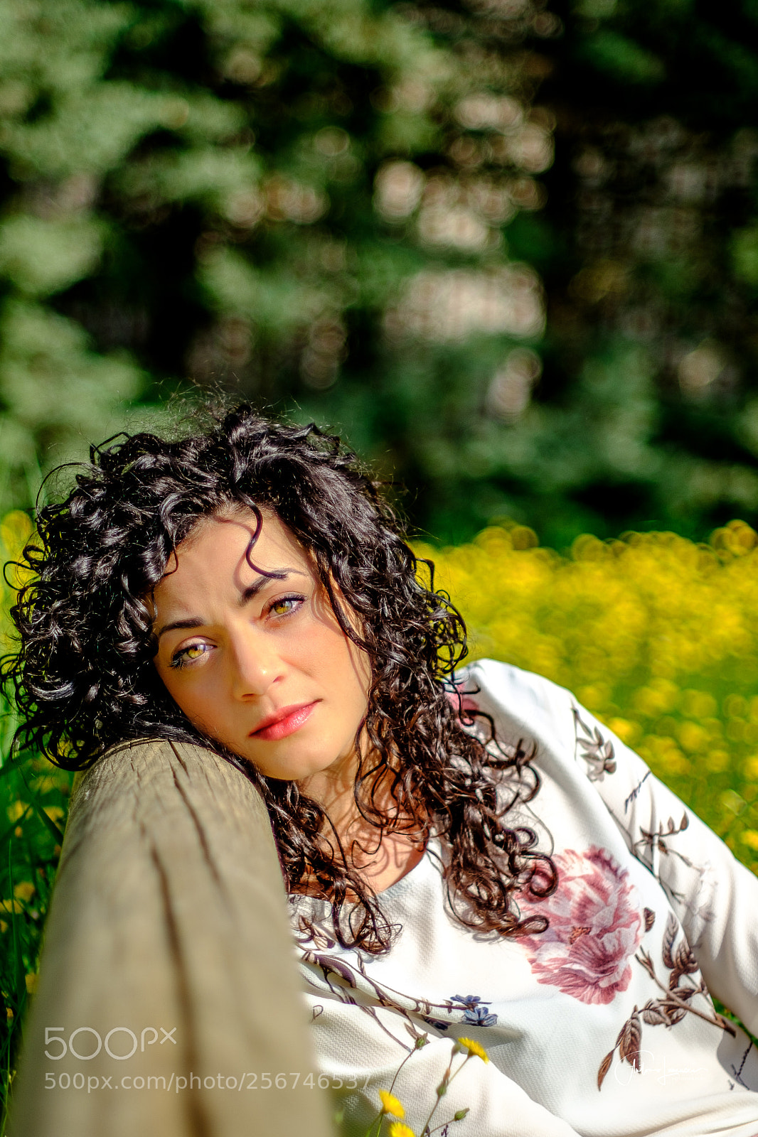 Fujifilm X-T2 sample photo. Il riposo di una photography