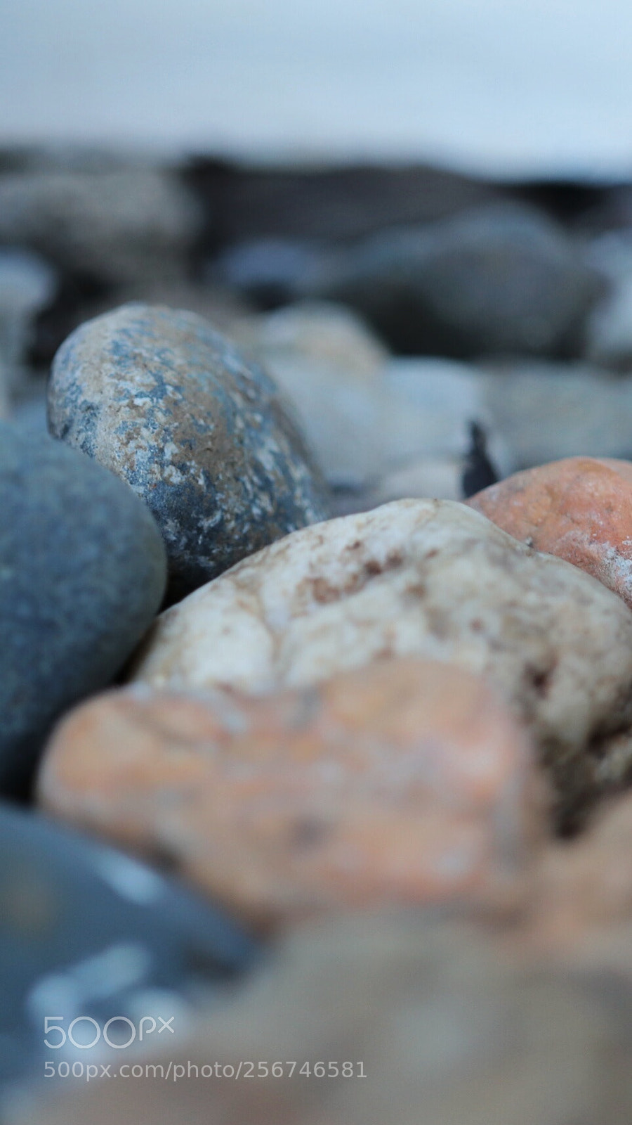 Canon EOS 800D (EOS Rebel T7i / EOS Kiss X9i) sample photo. Pebble photography