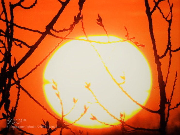 Canon EOS 7D Mark II sample photo. Sunset photography