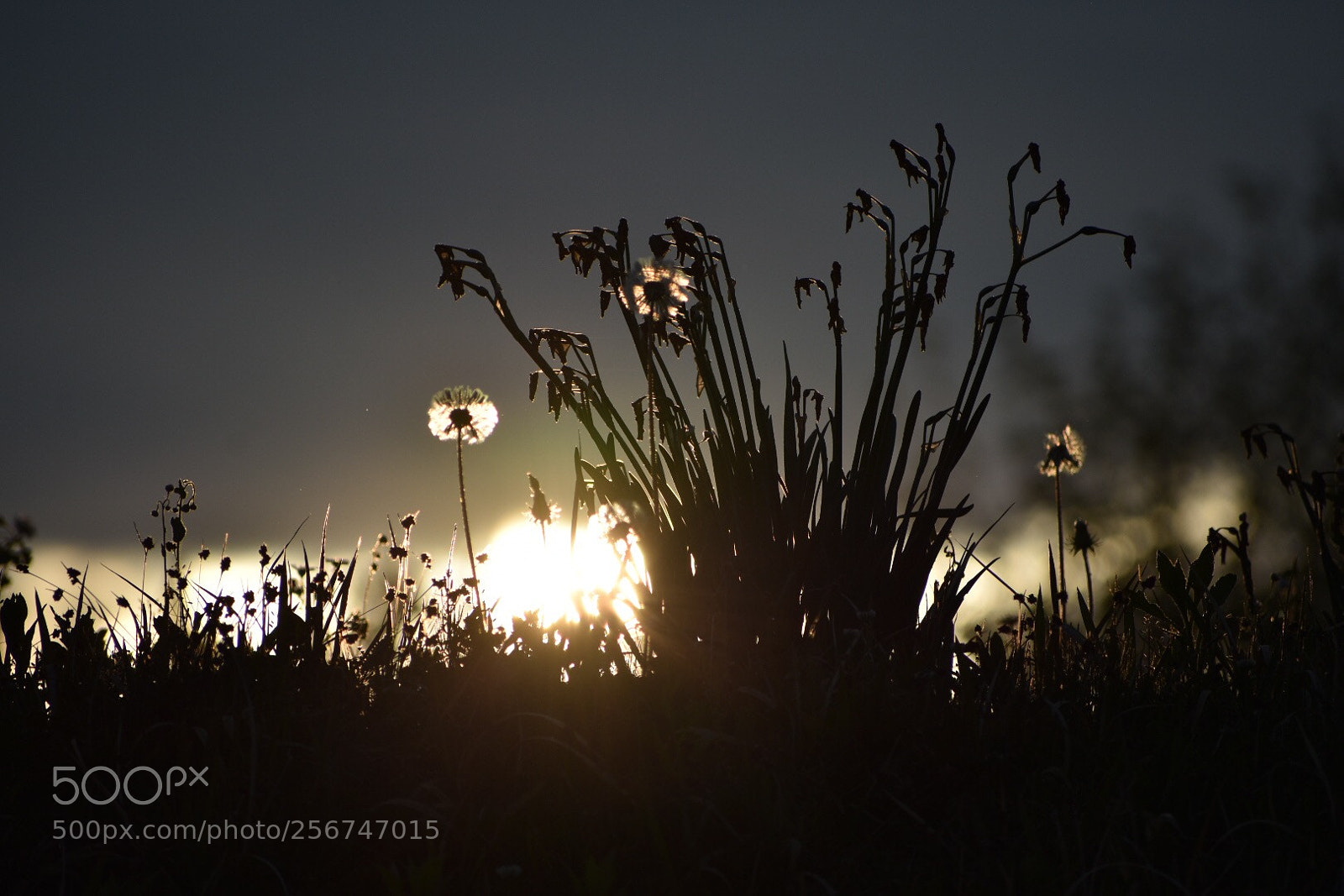 Nikon D3400 sample photo. Sunset photography
