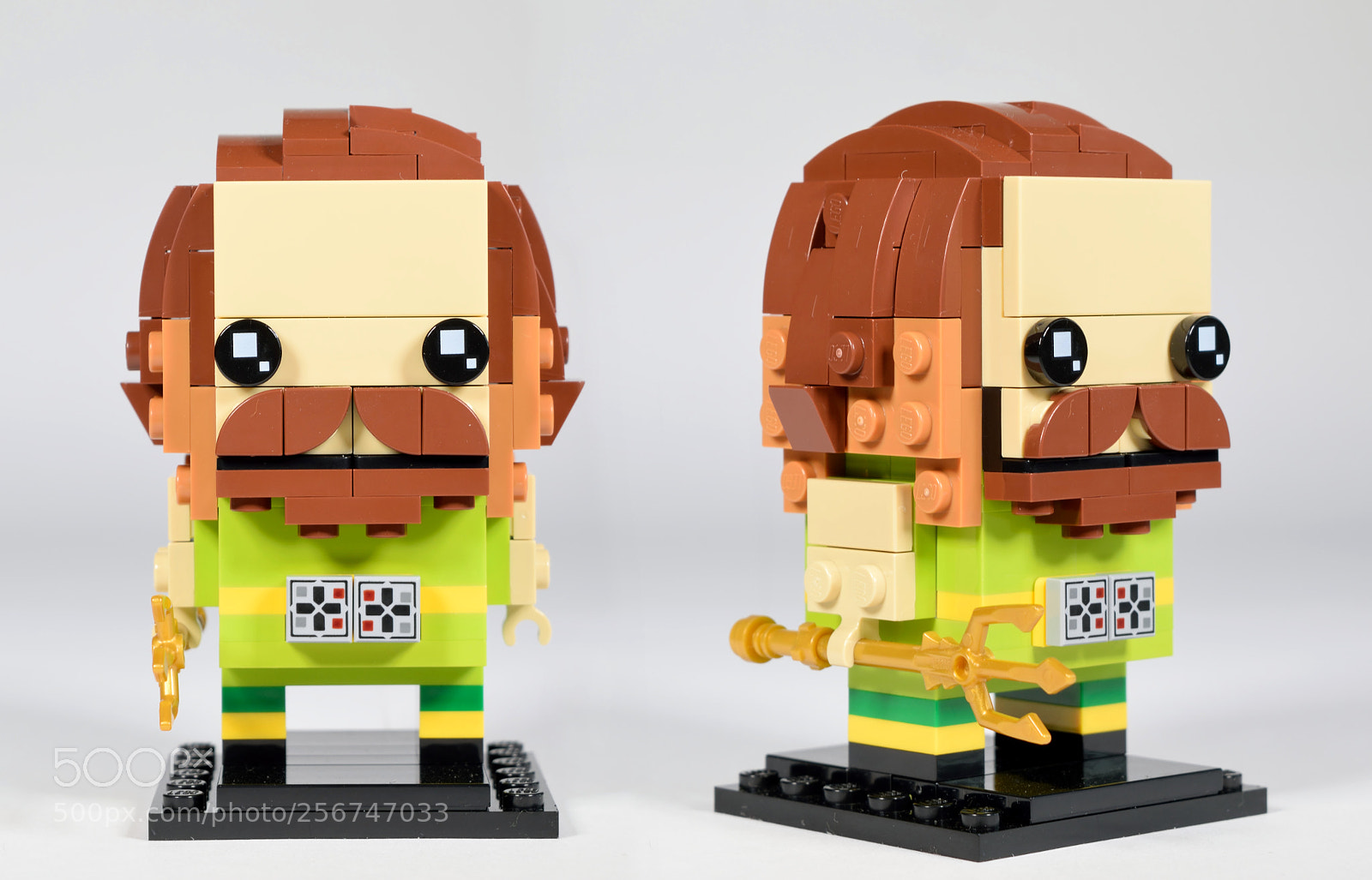 Nikon D3300 sample photo. Aquaman's brickhead photography