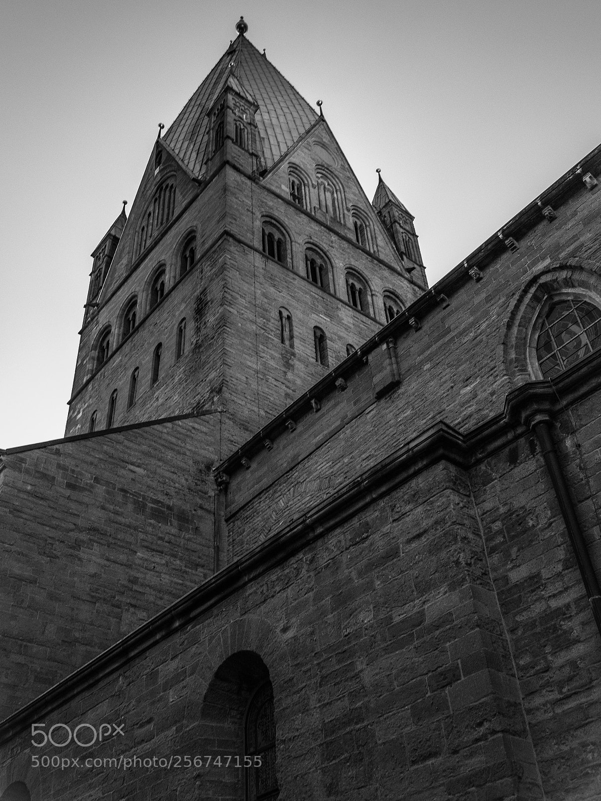 Olympus OM-D E-M1 sample photo. Pure dominanz photography