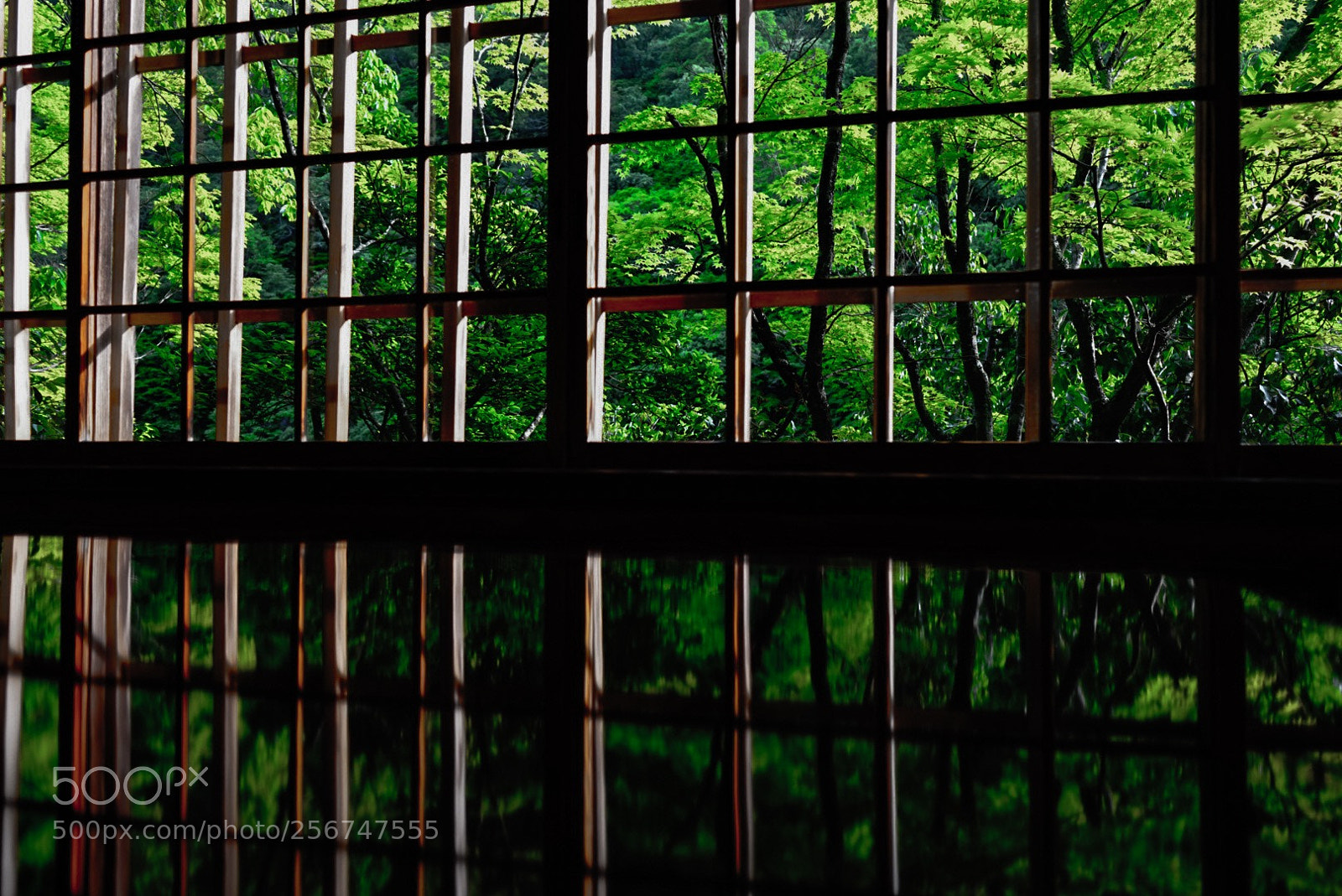 Sony a7 sample photo. Arashiyama photography