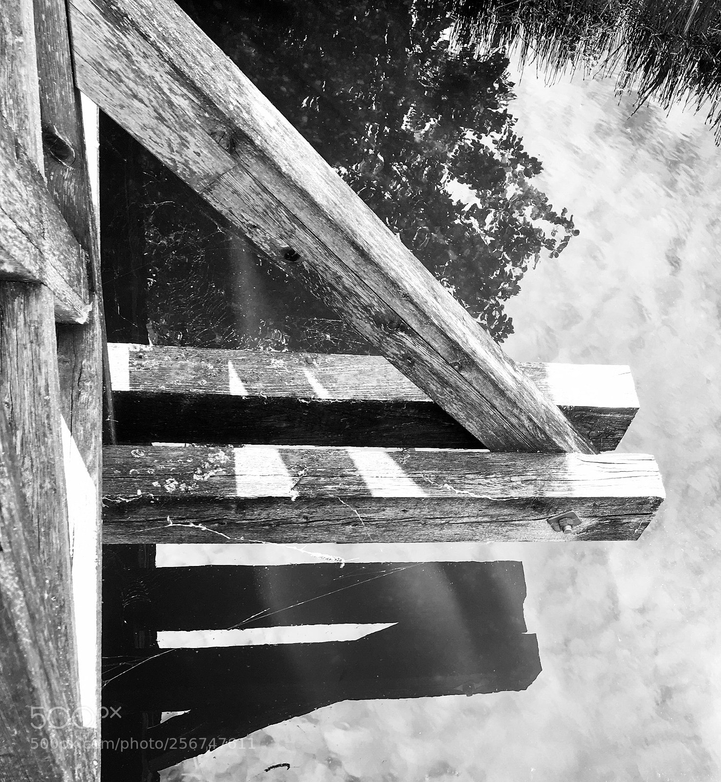 Apple iPhone SE sample photo. Untitled photography