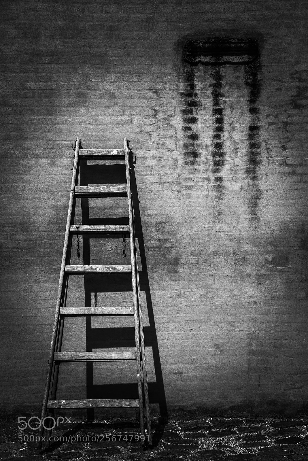 Nikon D750 sample photo. Ladder be shade photography