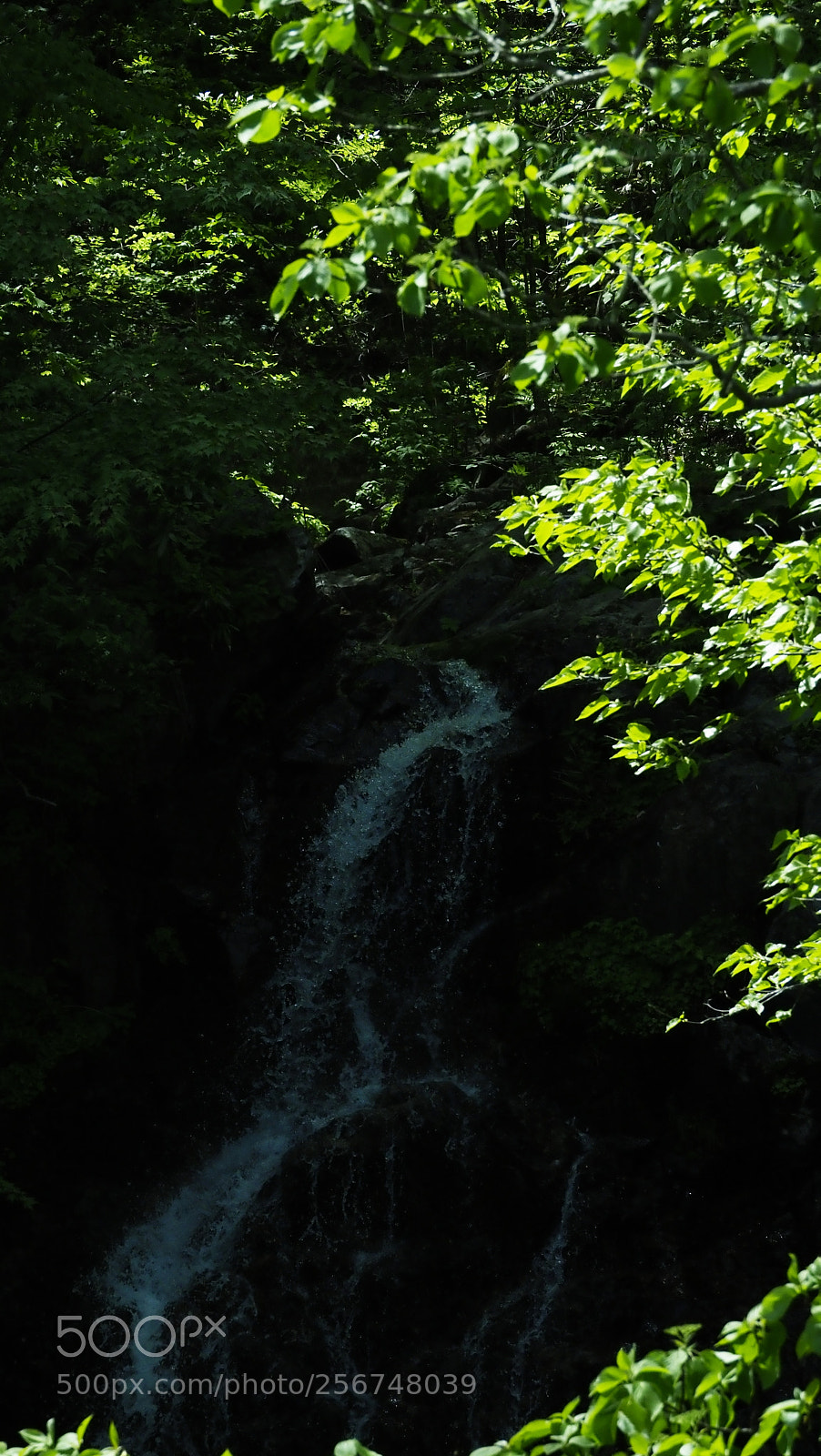 Olympus OM-D E-M1 Mark II sample photo. Light and waterfall1 photography