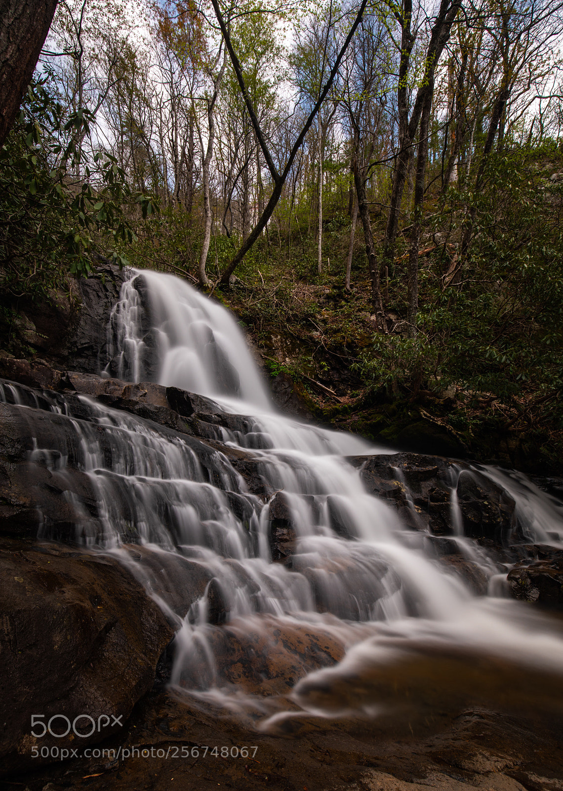 Canon EOS 5D Mark IV sample photo. Laurel falls  photography