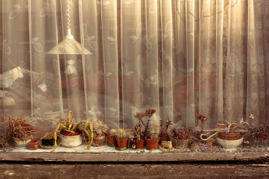 Bygones