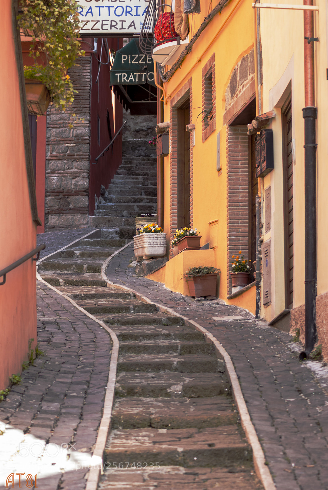Nikon D80 sample photo. I vicoli di nemi photography