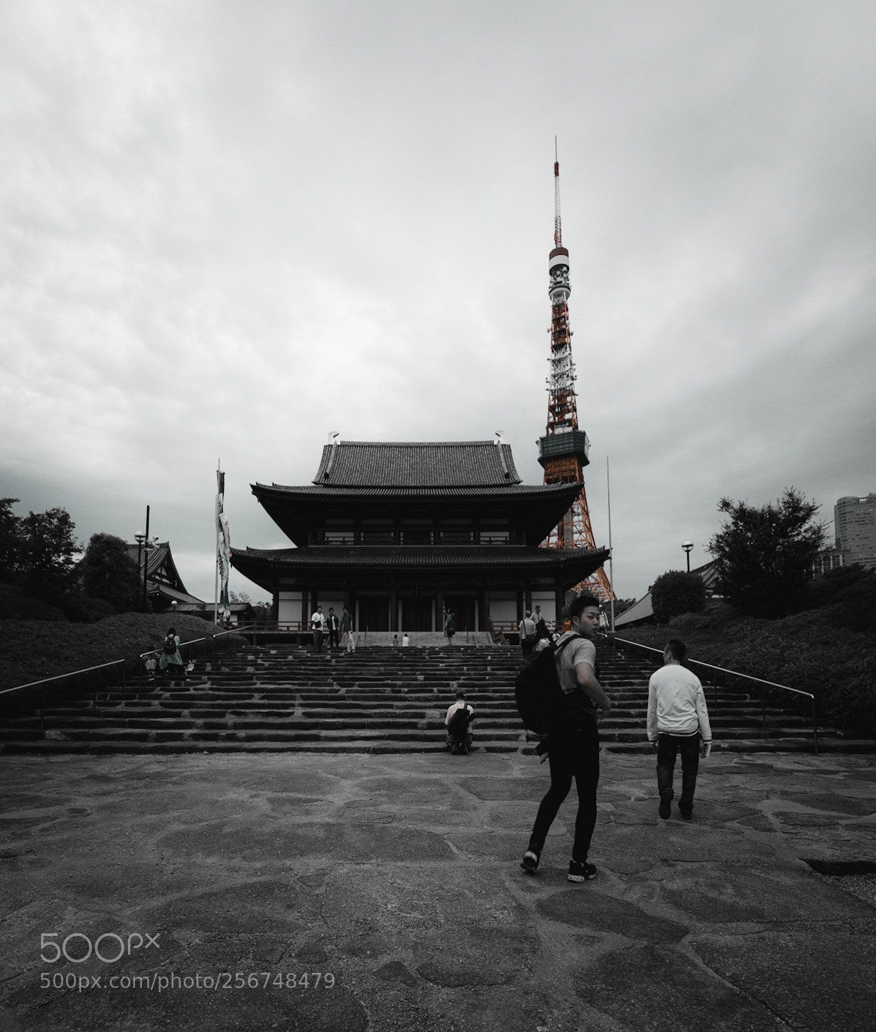 Sony a7R II sample photo. Bw zojoji photography