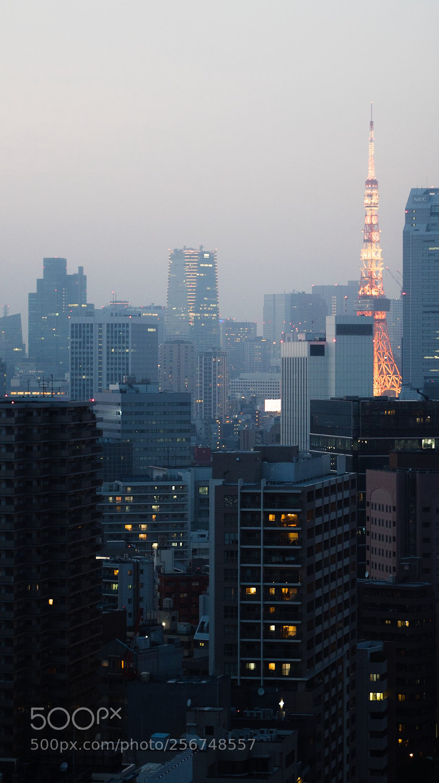 Olympus OM-D E-M5 II sample photo. Tokyo photography