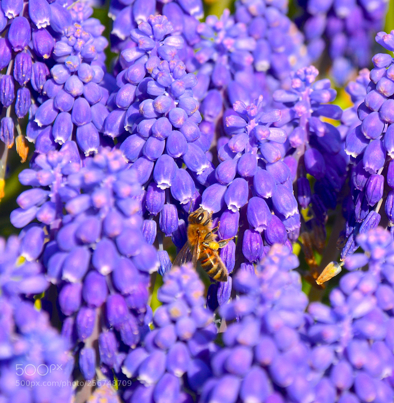 Nikon D7100 sample photo. Dsc photography