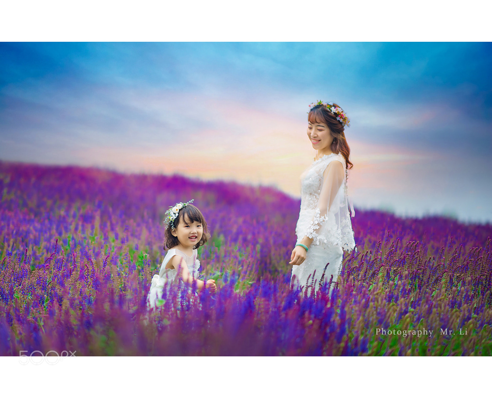 Nikon D800 sample photo. Untitled photography