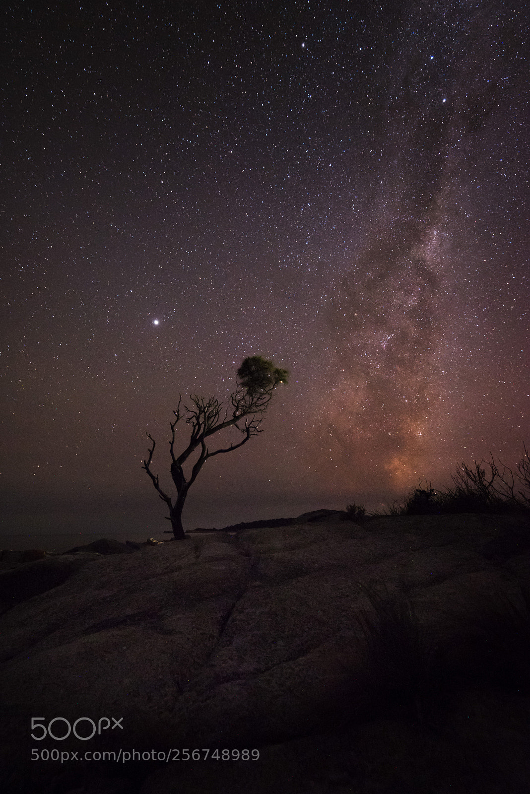 Nikon D750 sample photo. Milky way rising photography